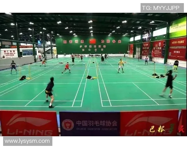 羽毛球技术排行榜揭晓成都羽毛球队荣登第九名引发关注