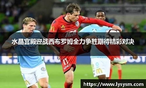 熊猫体育官网