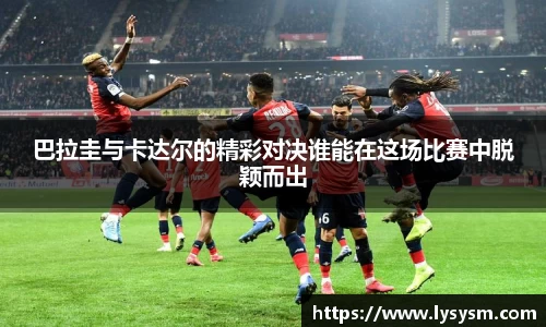 熊猫体育平台